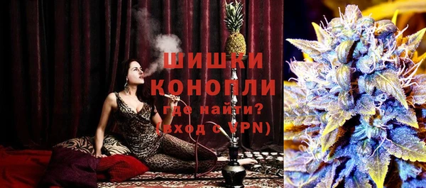 дмт Краснослободск