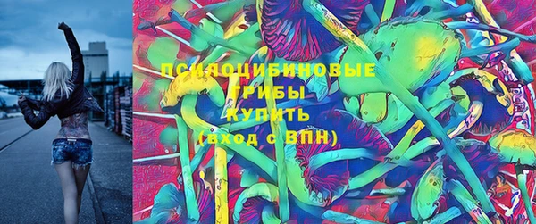 синтетический гашиш Костерёво
