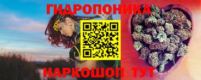 a pvp Заводоуковск