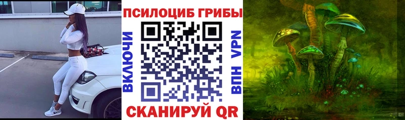 Галлюциногенные грибы Cubensis  Электросталь 