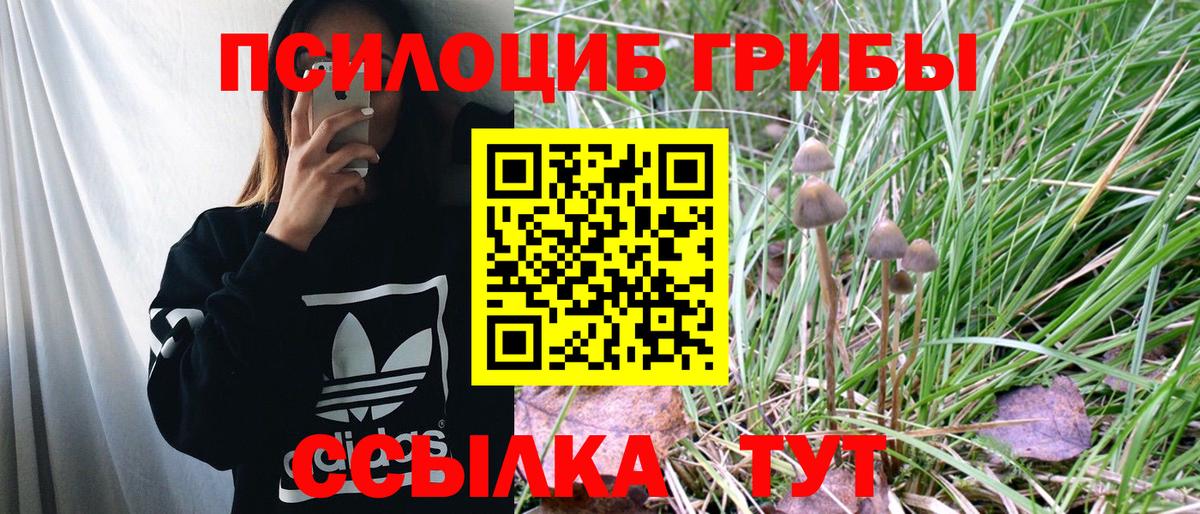 Продажа наркотиков  Меф МЯУ МЯУ кристаллы  Марихуана  ЭКСТАЗИ  Гашиш  Электросталь  КОКАИН  Вход с VPN 