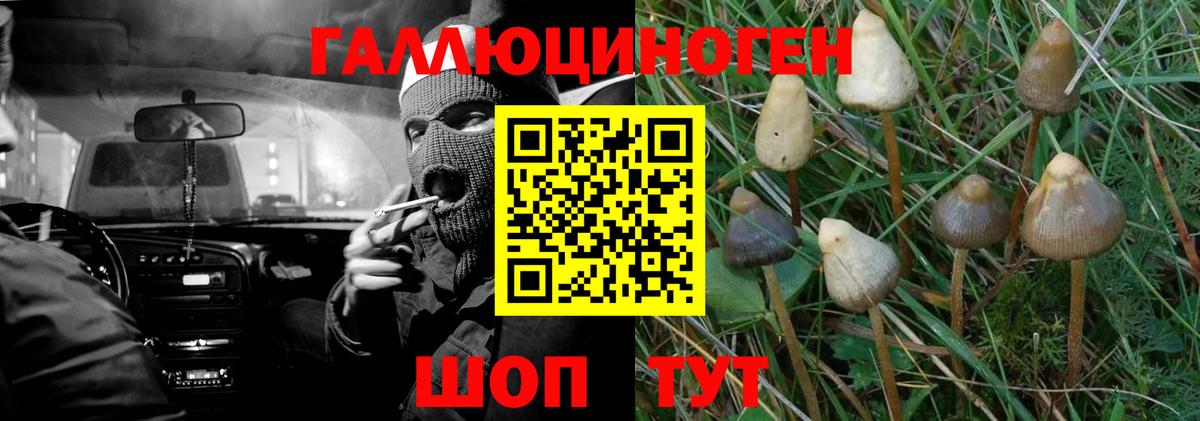 Псилоцибиновые грибы ЛСД Электросталь
