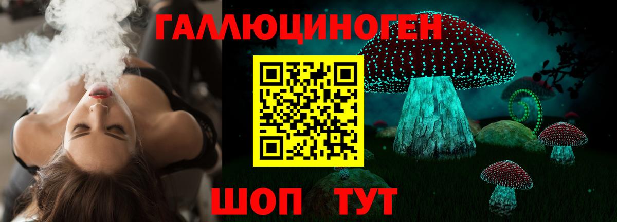 Электросталь  Псилоцибиновые грибы прущие грибы  Вход с VPN  Псилоцибиновые грибы GOLDEN TEACHER 